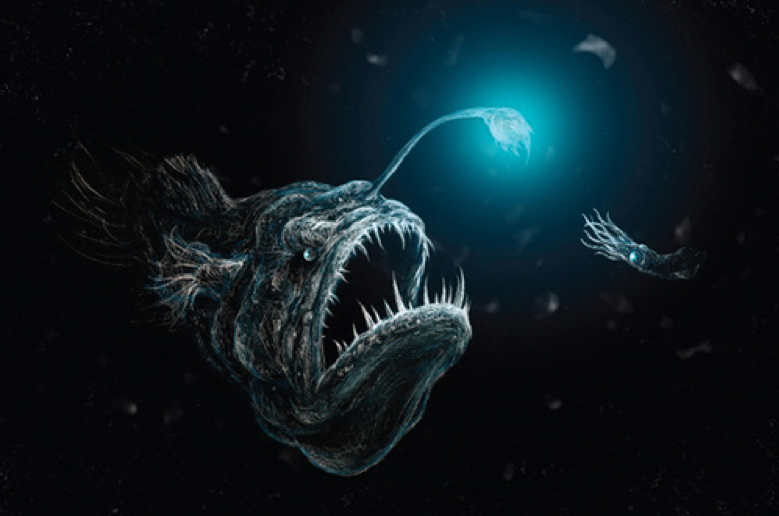 The Unusual Life of the Glowing Deep Sea Fisherman – The Evolution of  Planet Earth